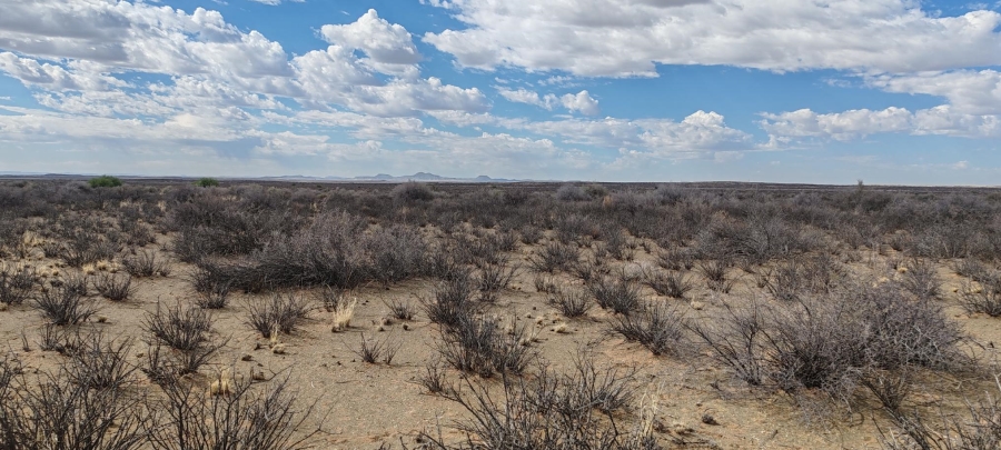 0 Bedroom Property for Sale in Brandvlei Northern Cape